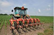 Interrow Cultivator