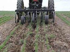 Interrow Rotary Cultivator