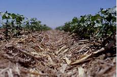 Soil Cultivators