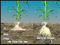 Vertical Spring Cultivators
